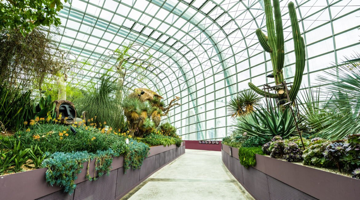 Como Escolher as Plantas Ideais para Valorizar o Paisagismo da Sua Propriedade