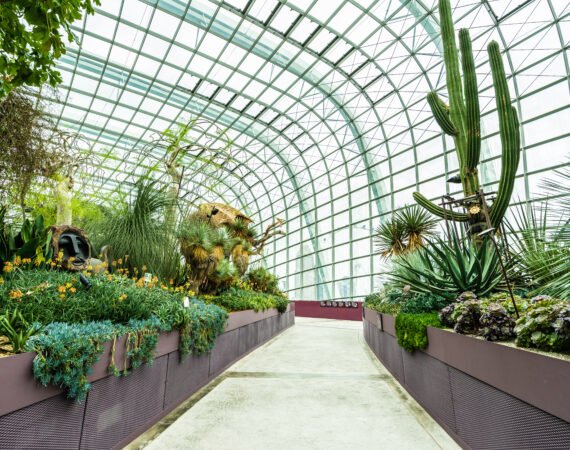 Como Escolher as Plantas Ideais para Valorizar o Paisagismo da Sua Propriedade