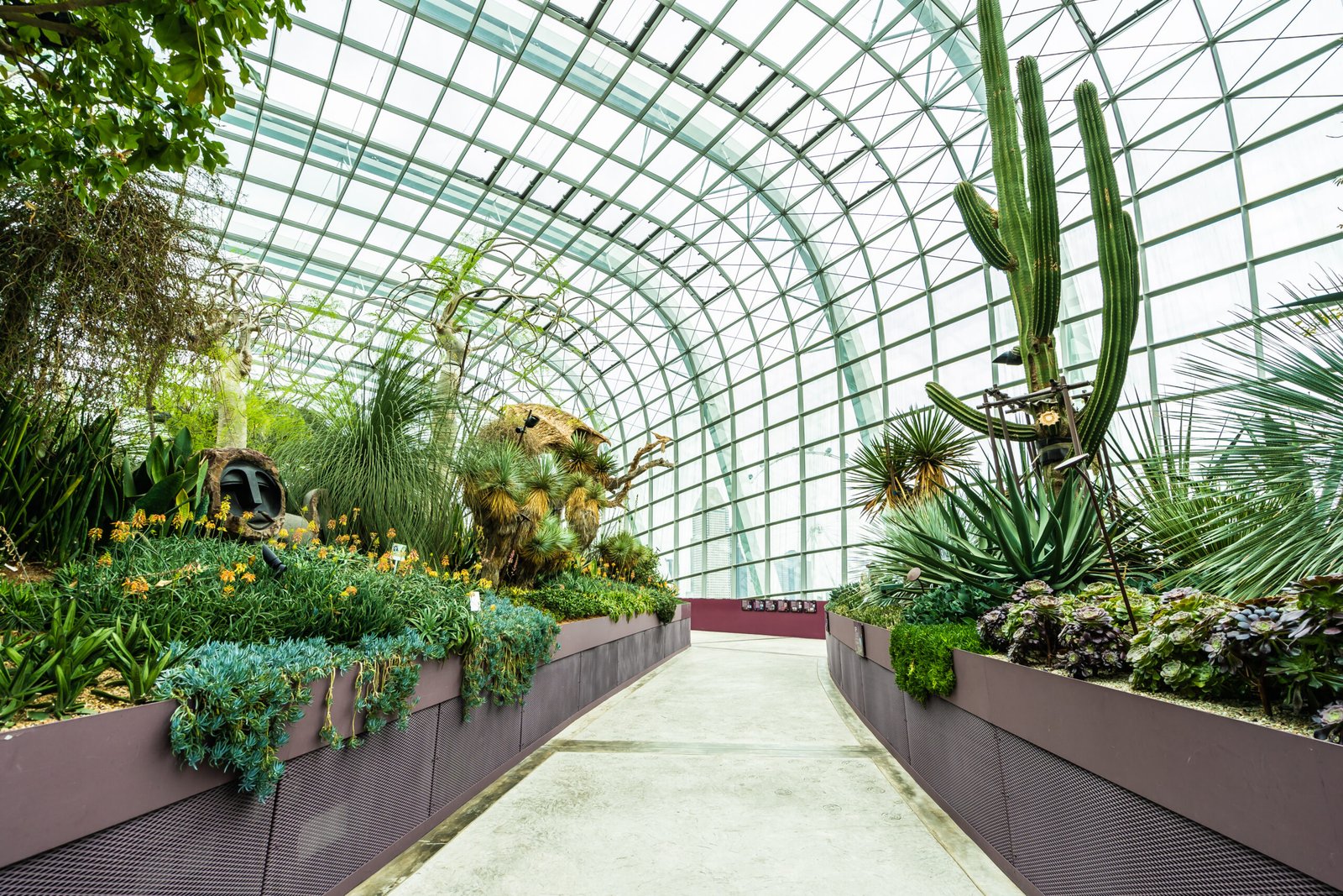 Como Escolher as Plantas Ideais para Valorizar o Paisagismo da Sua Propriedade