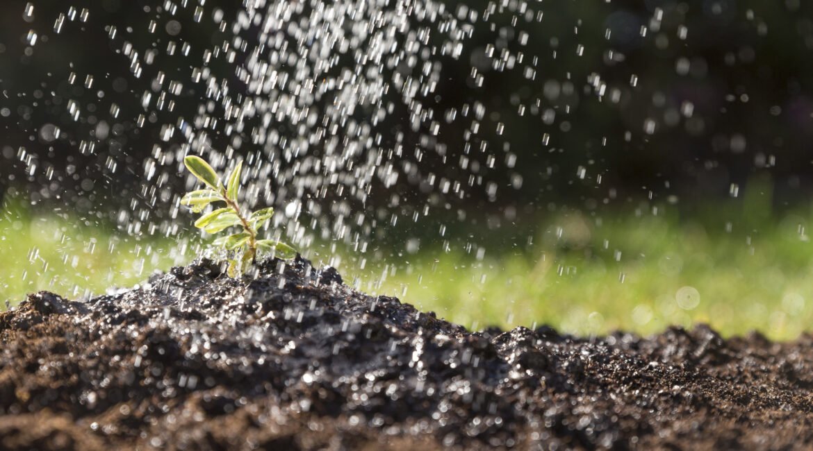 Os Benefícios da Irrigação Automatizada para Pequenas e Grandes Propriedades