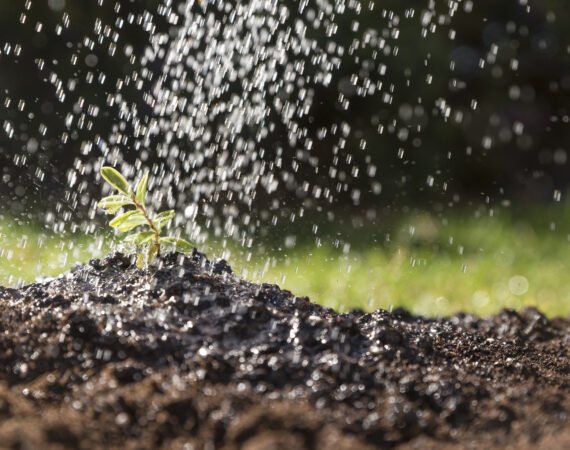 Os Benefícios da Irrigação Automatizada para Pequenas e Grandes Propriedades