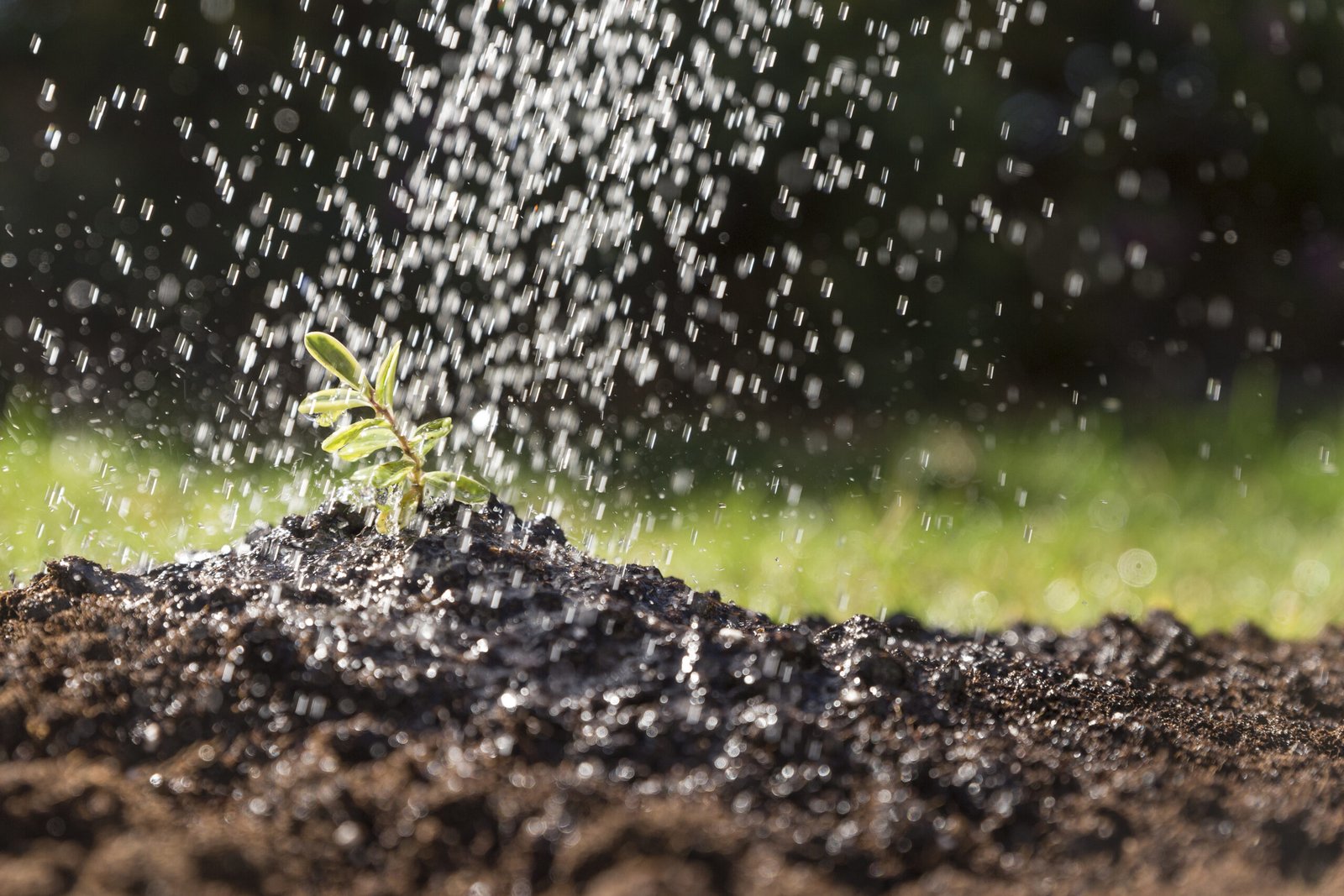 Os Benefícios da Irrigação Automatizada para Pequenas e Grandes Propriedades